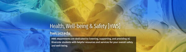 Health, Well-being & Safety overview slide.